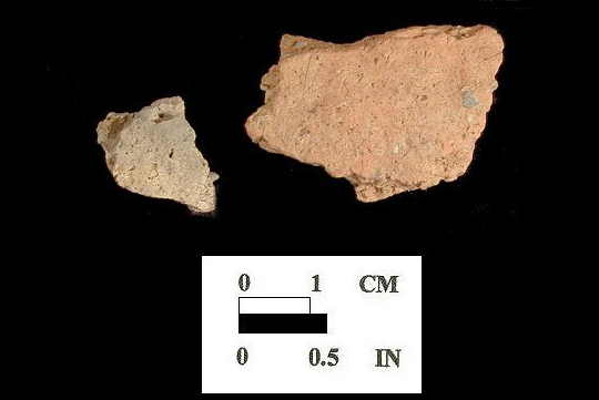 Wolfe Neck body sherds from Conowingo site 18CE14/161.